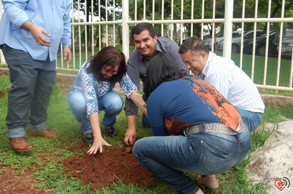 Escola de Dourados realiza plantio de árvore, para celebrar dia mundial da água