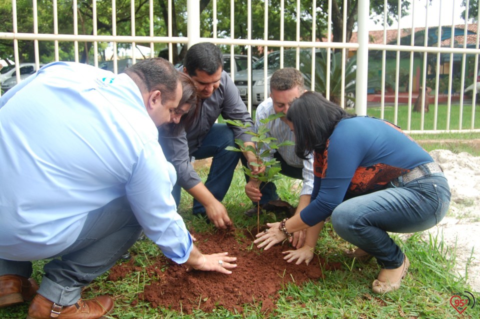 Escola de Dourados realiza plantio de árvore, para celebrar dia mundial da água