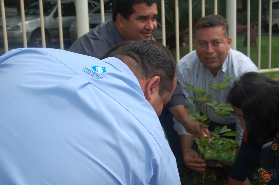 Escola de Dourados realiza plantio de árvore, para celebrar dia mundial da água