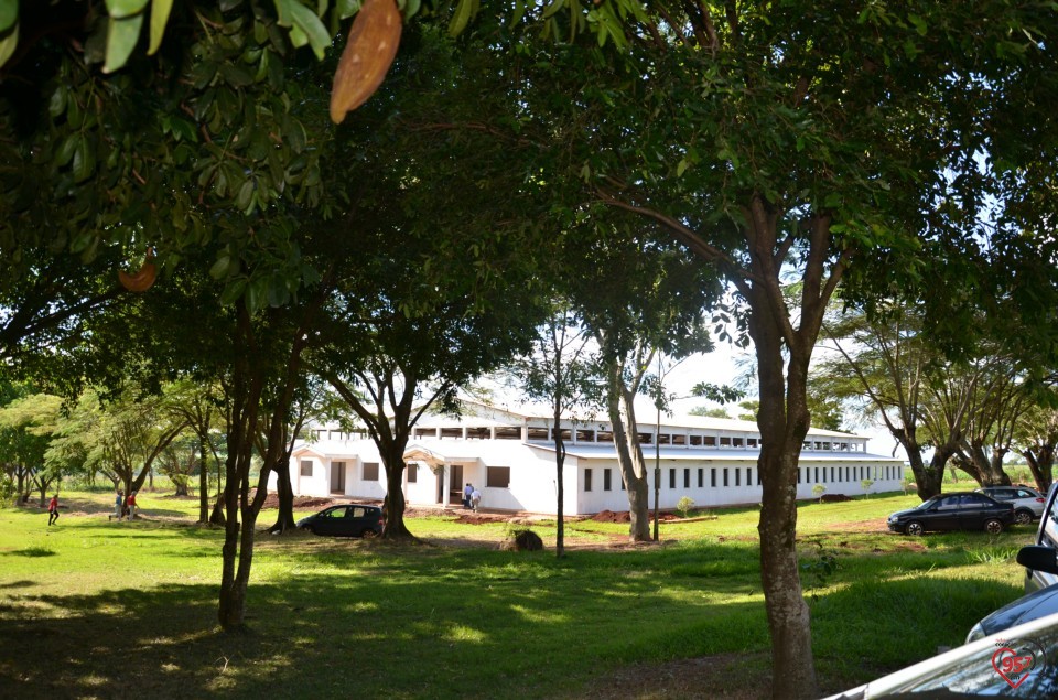 Missionários seminaristas de Brasília visitam diocese de Dourados