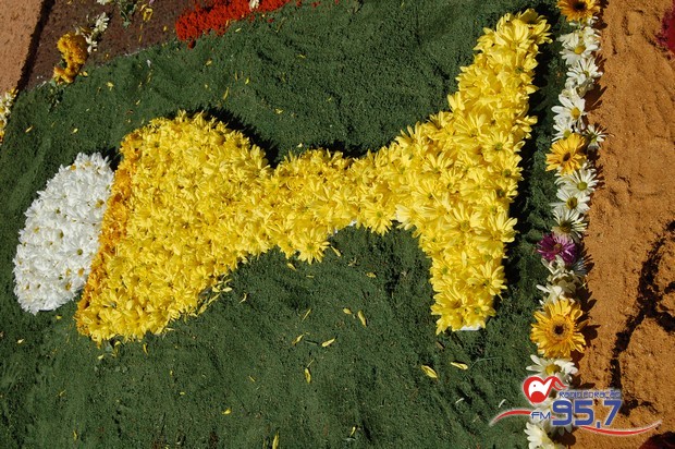Em Dourados 10 mil católicos celebraram o dia de Corpus Christi