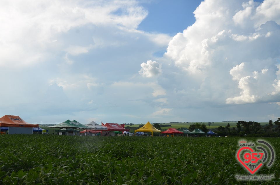 Dia de campo da Coamo Dourados