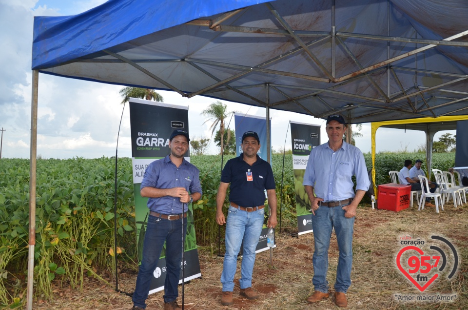 Dia de campo da Coamo Dourados