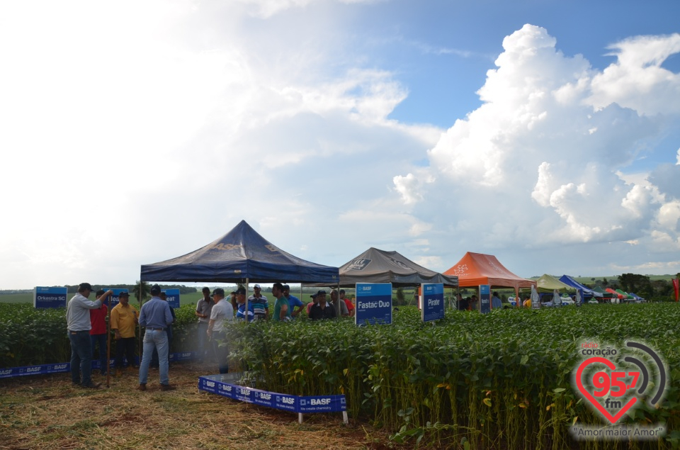 Dia de campo da Coamo Dourados