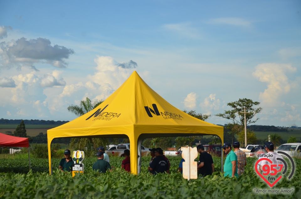 Dia de campo da Coamo Dourados