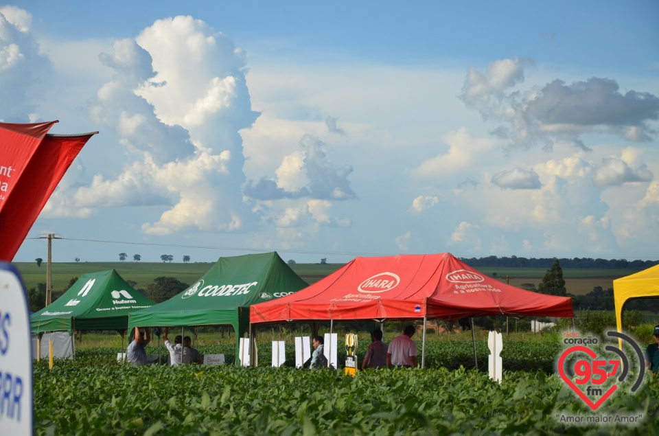 Dia de campo da Coamo Dourados