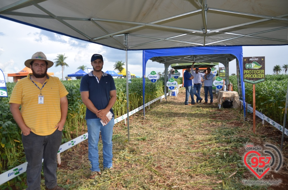 Dia de campo da Coamo Dourados
