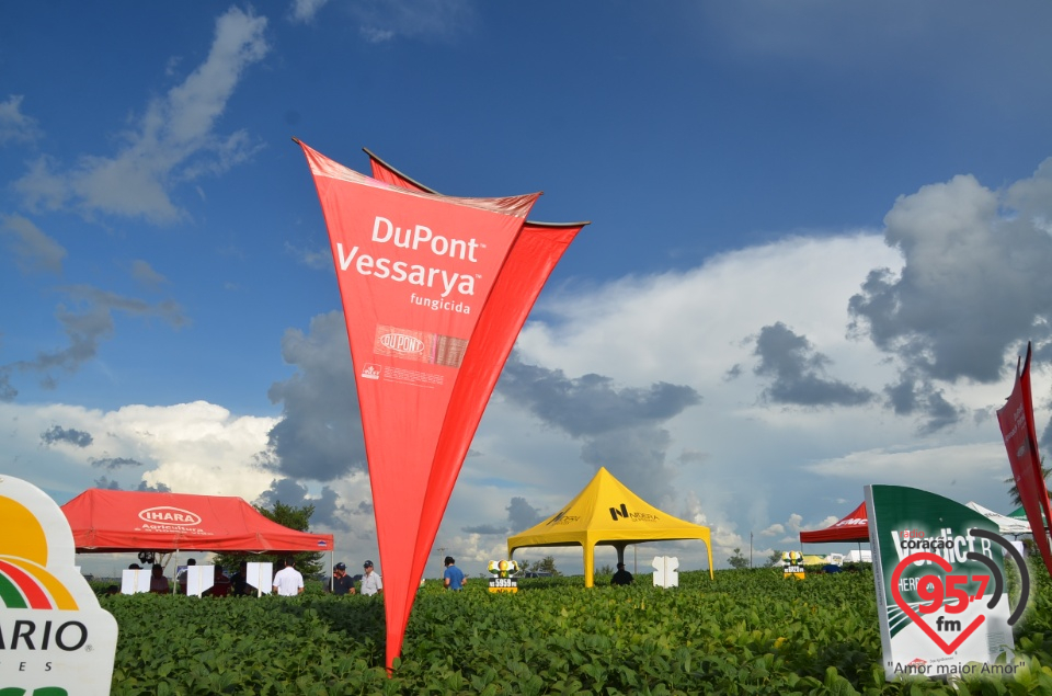 Dia de campo da Coamo Dourados