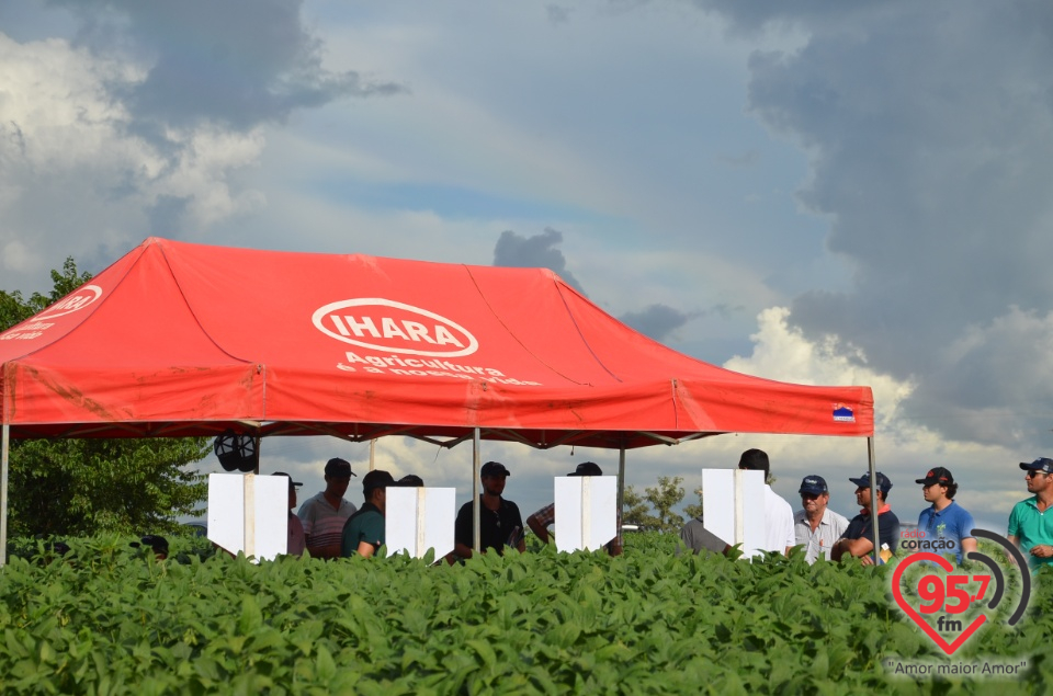 Dia de campo da Coamo Dourados