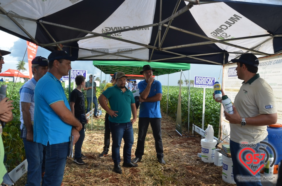 Dia de campo da Coamo Dourados