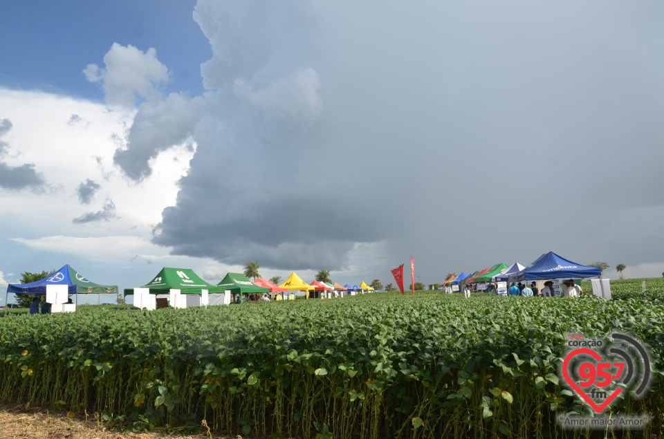 Dia de campo da Coamo Dourados