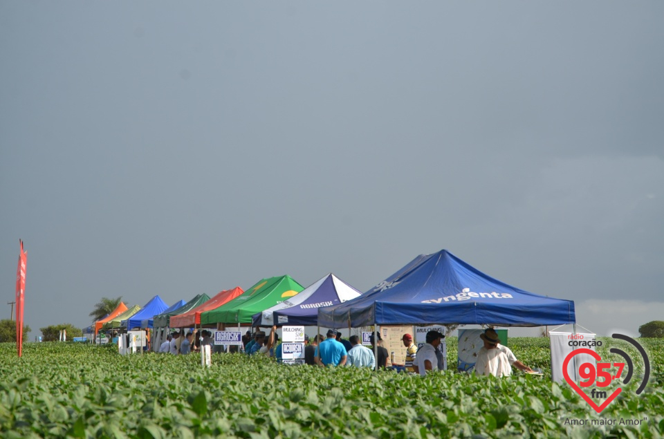 Dia de campo da Coamo Dourados