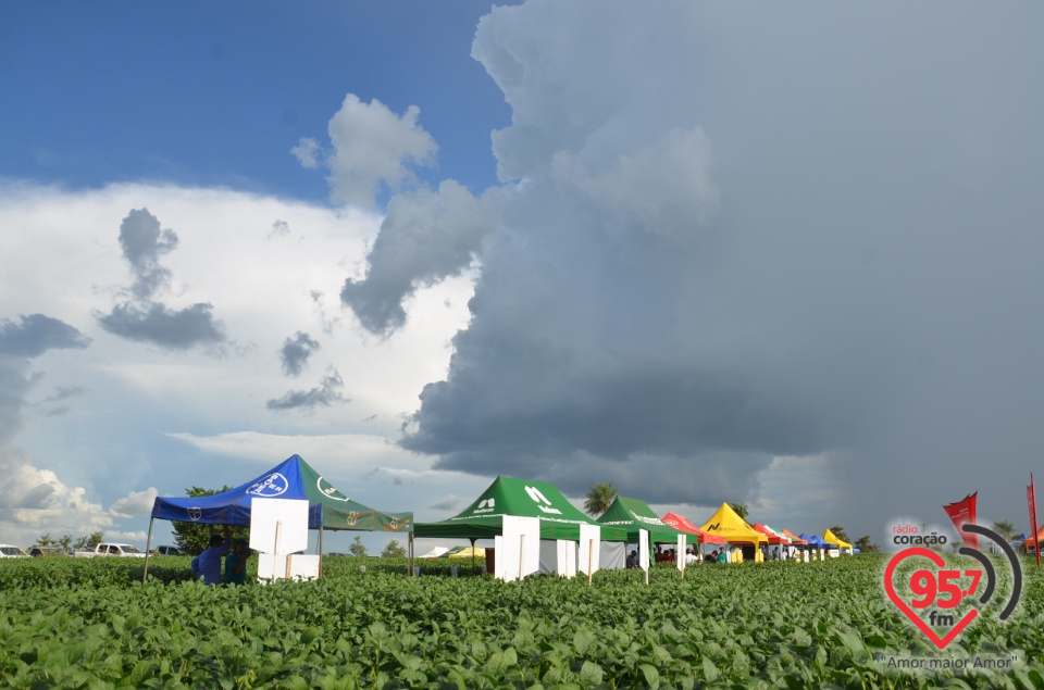 Dia de campo da Coamo Dourados
