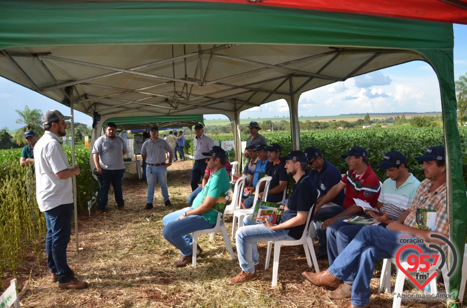 Dia de campo da Coamo Dourados