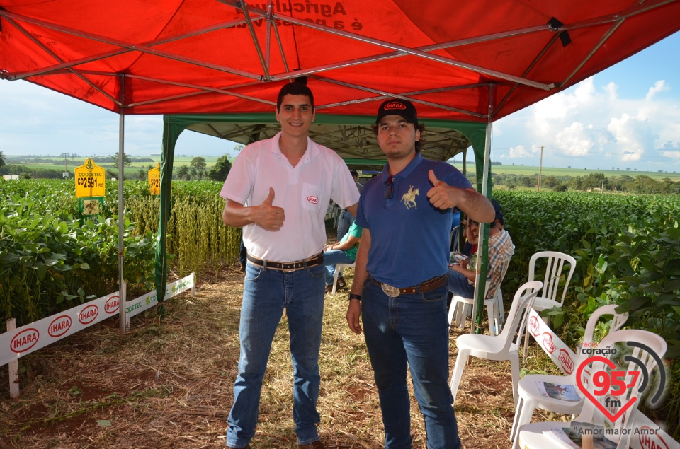 Dia de campo da Coamo Dourados