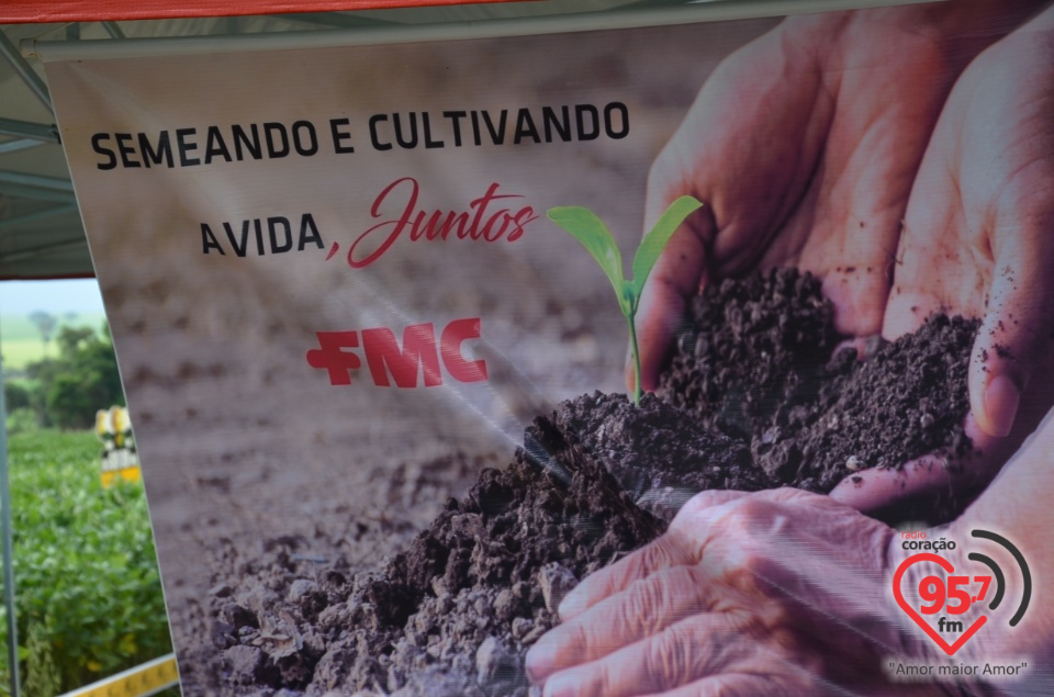 Dia de campo da Coamo Dourados