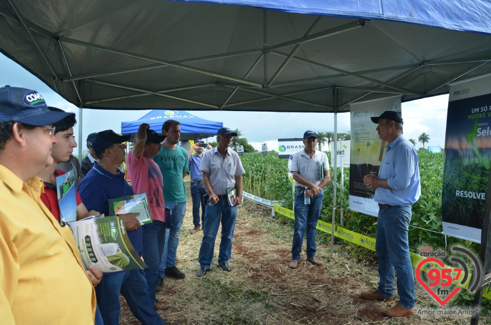 Dia de campo da Coamo Dourados