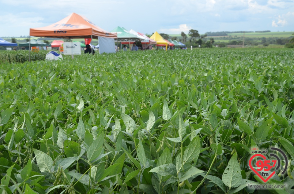 Dia de campo da Coamo Dourados