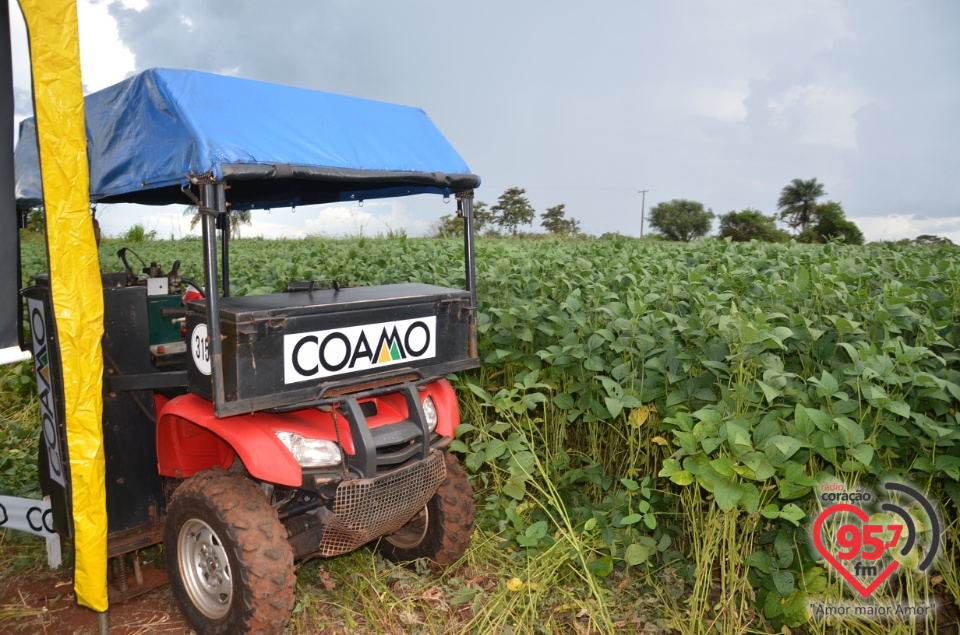 Dia de campo da Coamo Dourados