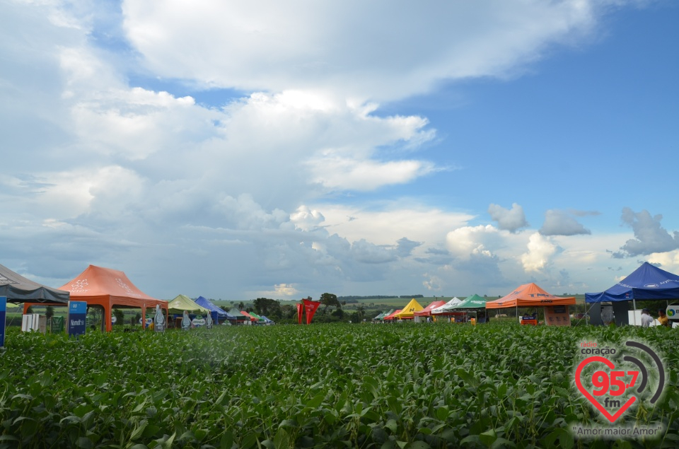 Dia de campo da Coamo Dourados