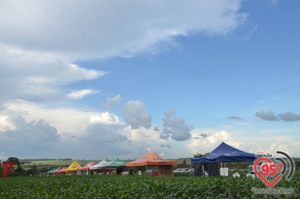 Dia de campo da Coamo Dourados