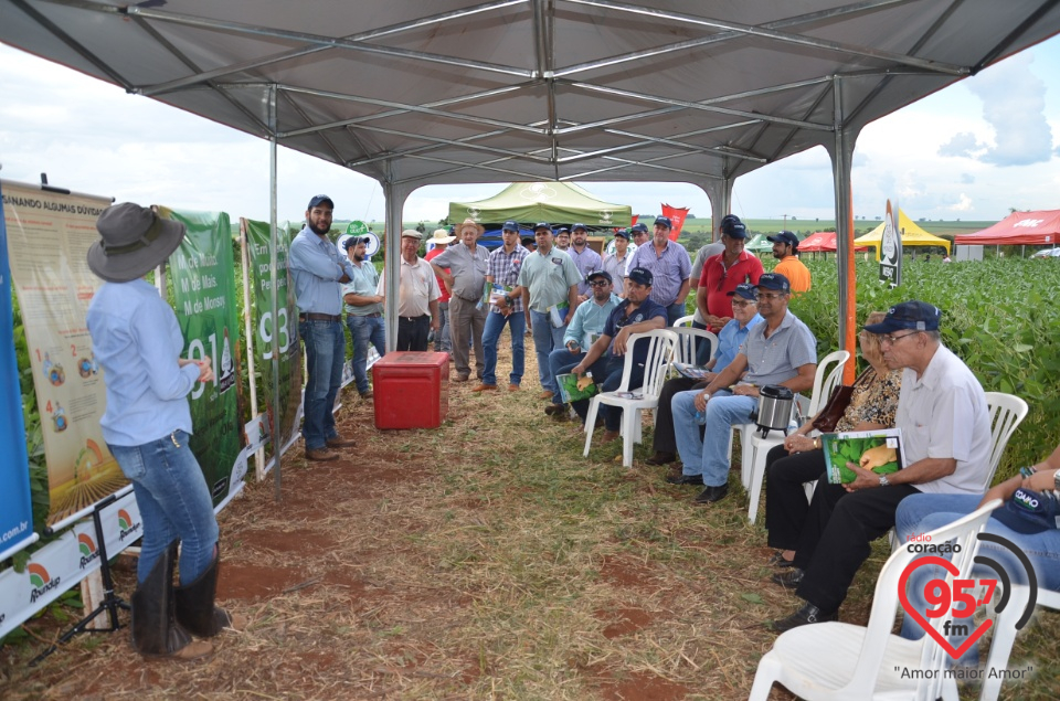 Dia de campo da Coamo Dourados