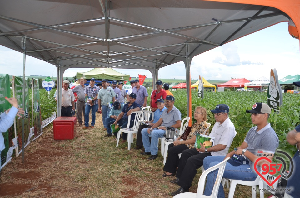Dia de campo da Coamo Dourados