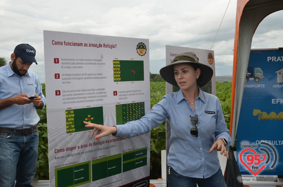 Dia de campo da Coamo Dourados