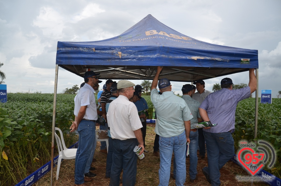 Dia de campo da Coamo Dourados
