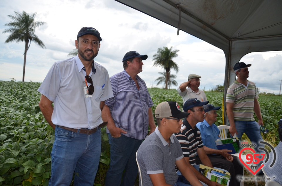 Dia de campo da Coamo Dourados