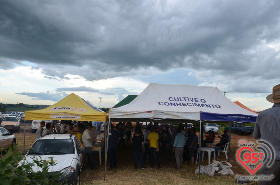 Dia de campo da Coamo Dourados