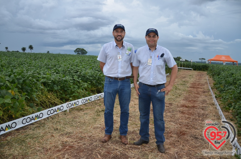 Dia de campo da Coamo Dourados