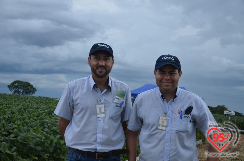 Dia de campo da Coamo Dourados