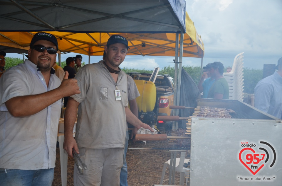 Dia de campo da Coamo Dourados