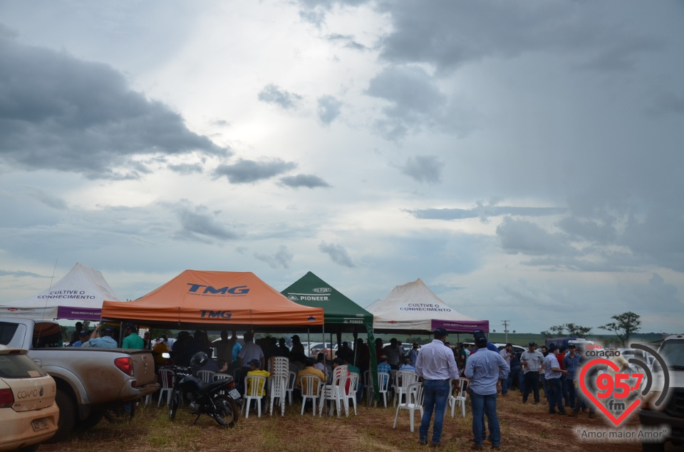 Dia de campo da Coamo Dourados