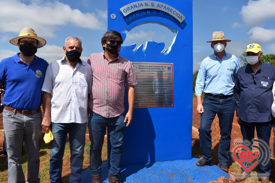 Produtores de Dourados inauguram granja pioneira no Brasil em ração líquida para suínos
