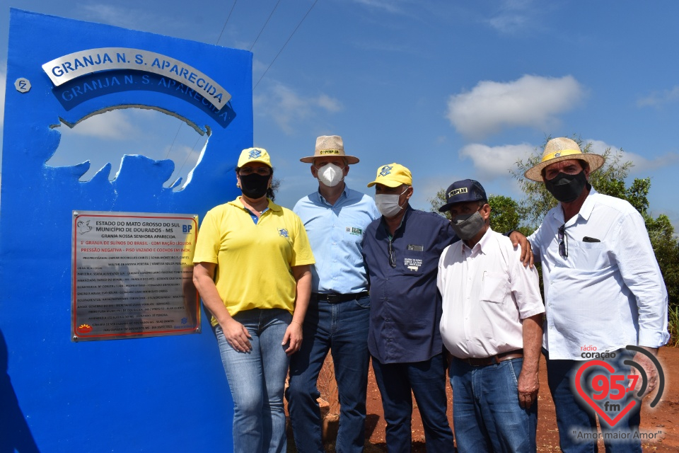 Produtores de Dourados inauguram granja pioneira no Brasil em ração líquida para suínos