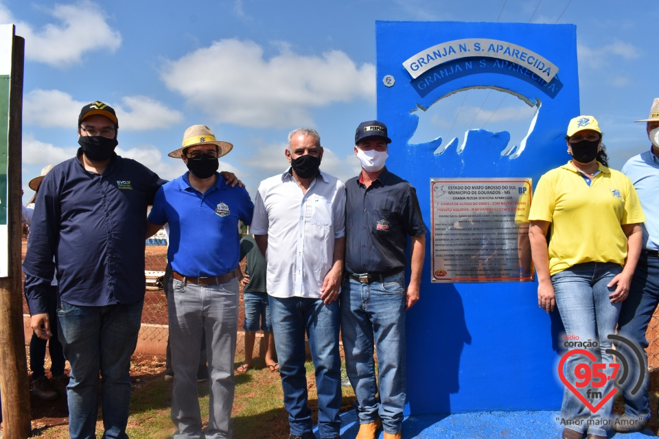 Produtores de Dourados inauguram granja pioneira no Brasil em ração líquida para suínos