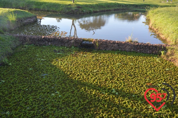 Neocatecumenato realiza encontros no Parque do Lago