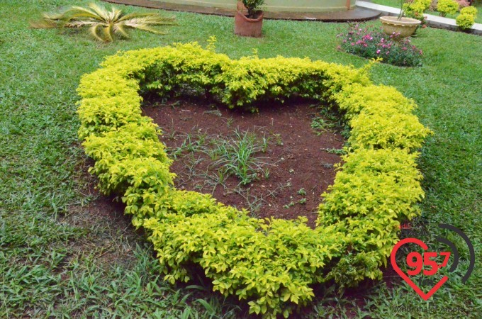 Seminário Sagrado Coração de Jesus realiza show de prêmios