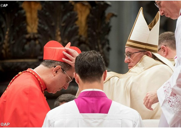 Dom Sérgio da Rocha foi criado cardeal pelo Papa Francisco, em 19 de novembro de 2016, na Basílica de São Pedro, no Consistório Ordinário Público para a criação de 17 novos purpurados.