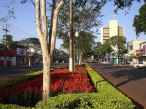 Os serviços considerados essenciais, como coleta de lixo, atendimento na saúde e outras atividades que não podem parar, serão desenvolvidos normalmente