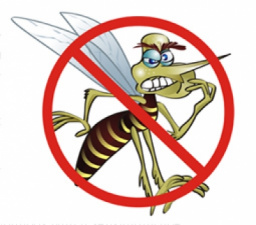 Com as temperaturas elevadas e chuvas intensas a partir de agora – condições ideais para a proliferação do mosquito da dengue – os cuidados precisam ser redobrados