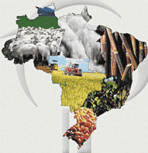 Apesar do dólar fraco, o agronegócio brasileiro deverá fechar o ano com superávit superior a U$ 60 bilhões