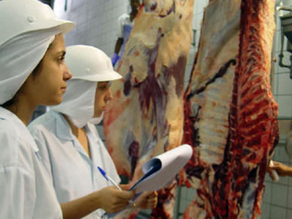 Preço da carne bovina aumentou cerca de 30% no último mês e agora pode disparar