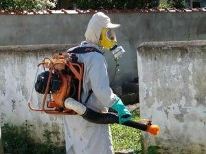 Para qualificar as ações de vigilância, prevenção e controle da dengue, o Ministério da Saúde está repassando a todos estados e municípios brasileiros R$ 173,3 milhões

