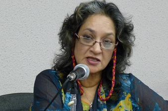 ©UNESCO/ Isabel de Paula
Perita Independente no Campo dos Direitos Culturais das Nações Unidas, Farida Shaheed, em coletiva de imprensa, Brasília
