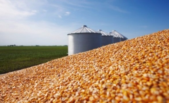 Novamente serão leiloadas 300 mil toneladas de milho de Mato Grosso do Sul da safra 2016/2017, sendo 100 mil toneladas de PEP e 200 mil toneladas de Pepro. Já no total, serão leiloadas 320 mil toneladas de milho pelo PEP, produzido por MS e outros estados e, 880 mil toneladas do grão de Pepro, da mesma safra, também produzidos por MS e outros estados.