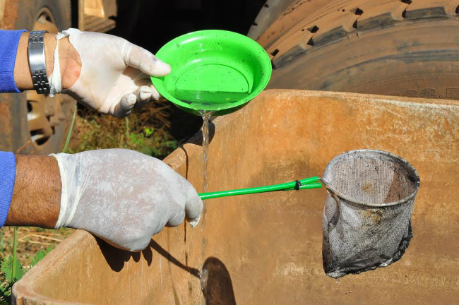 Nesta semana a prefeitura de Dourados está intensificando as ações no combate ao mosquito Aedes aegypti transmissor da dengue, chikungunya e zica vírus. Foto: A. Frota