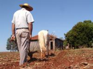 Agropecuária foi o setor que mais empregou em janeiro, com saldo positivo de 1.331 novos postos